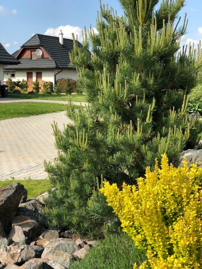 Villa Detvan Stara Lesna Exterior photo